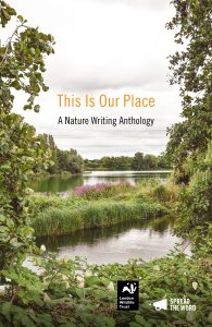 This Is Our Place anthology cover