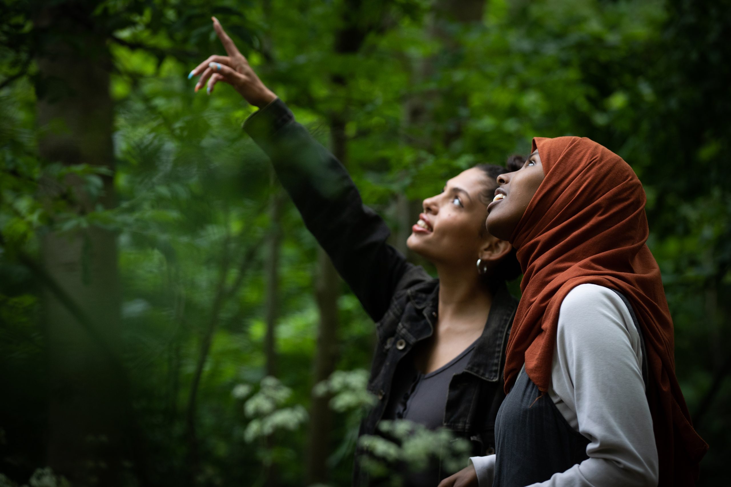 two people looking up at the sky in a forest. One wears an orange headscarf and the other is pointing upwards