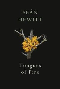Front cover of Sean Hewitt Tongues of Fire 